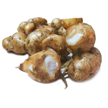 广东茂名新鲜沙姜生姜山奈子三赖沙姜鸡白切鸡配料15kg