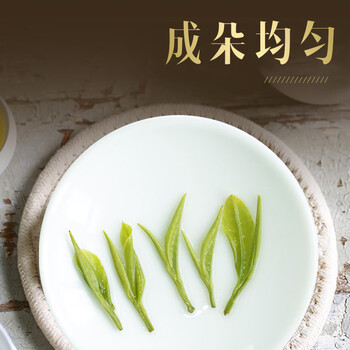 天旭白茶安吉 茶叶绿茶 新茶春茶茗茶 明前特级珍惜白茶罐装250g