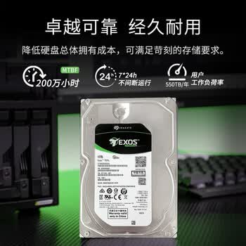 希捷（SEAGATE）企业级硬盘 6TB 256MB 7200RPM CMR垂直 SATA 希捷银河Exos 7E10系列 服务器硬盘ST6000NM019B