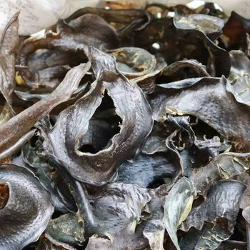 甲鱼裙边 水鱼裙干 足干靓货煲汤 鳖甲鱼裙边团鱼水鱼飞边干货 焖炒肉