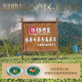 传奇会茶叶 福鼎白茶白毫银针礼盒装300g 老白茶紧压茶饼自己喝送礼