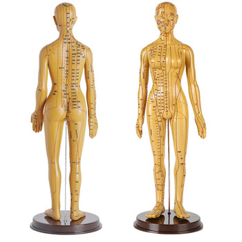 理月 人体经络穴位模型医用针灸铜人男女中医全身扎针练习小皮人