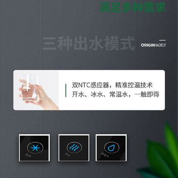 碧水源 净水器 立式免安装企业级纳滤机 保留天然矿物质 3水温直饮水商用净水机 D2168BW