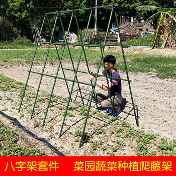 豆角黄瓜爬藤架子家庭种植架菜园蔬菜植物支撑架大棚骨架户外种菜园艺