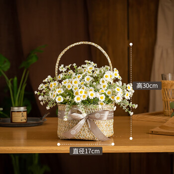 白色洋甘菊白色圆形花篮