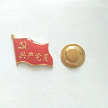 党徽徽章旗型党徽胸章带字党徽 新款徽章磁铁扣党徽为人民服务 多款可