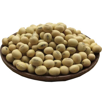 土黄豆农家自种老品种黄豆豆浆豆腐原料苏北黑脐王大黄豆5斤