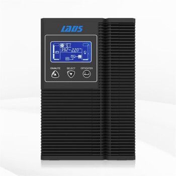 雷迪司G1KL在线式UPS不间断电源 电脑服务器稳压1KVA/800W外置电池断电延时UPS主机 停电应急备用电源