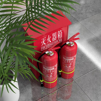 淮海 灭火器箱 干粉水基灭火器箱子可放2具4KG消防箱 升级款 CY1125