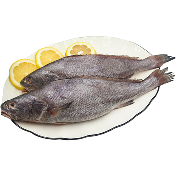 新鲜深海米鱼冷冻鳘鱼大鳘鱼冷冻鳘鱼海捕水产海鲜 五斤装4-6两