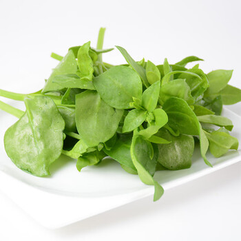 新鲜叶菜田七菜穿心莲菜青菜农家菜绿叶菜凉拌沙拉菜 1500g