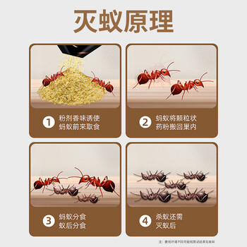 KOOGIS蚂蚁药全窝端一窝端呋虫胺除灭杀蚂蚁饵剂特效药家用非无毒室内外