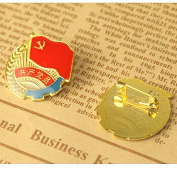 型党徽中国共青团团徽胸章胸针别针为人民服务党徽党员徽章 蓝边党徽