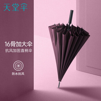 天堂大号雨伞加固抗风拒水长直柄半自动便携晴雨伞云炭黑 11013E风华 