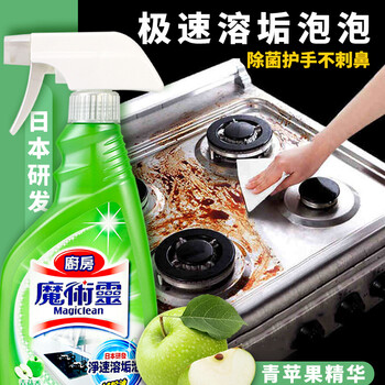花王（KAO）油污清洁剂 油烟机清洗剂油污净厨房去重油清洁剂 清洁泡沫500ml