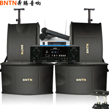 奔腾（BNTN）ktv音响套装专业卡拉ok舞台会议室无线话筒唱歌 大功率功放会议舞台一拖四8200功放配450音箱