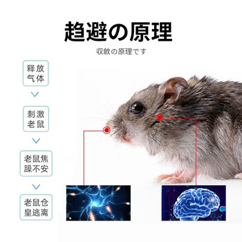 鼠道难强效避鼠膏 驱鼠膏 神器家用车用防避捕老鼠神器植物避鼠膏120g