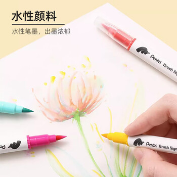 派通（Pentel ）双头柔绘笔软头手账笔学生马克笔彩绘绘画笔花体英文素材美术动漫水彩SESW30C-T116E浅橙色水彩笔
