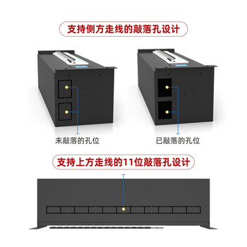 雷迪司（LADIS）机柜配电 空开断路器模块带显示屏网络服务器机架式专用3U