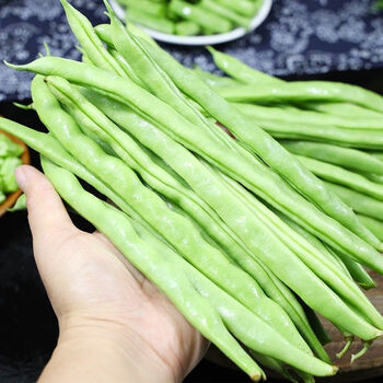 新鲜四季豆无筋豆芸豆角扁青豆角农家自种蔬菜四川四季豆角扁豆 净重5