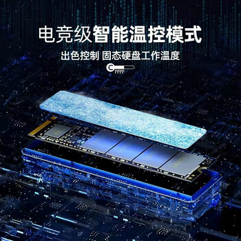 雷克沙(Lexar)NM620 256GB SSD固态硬盘 M.2接口(NVMe协议)PCIe 3.0x4 读速3500MB/s 足容TLC颗粒 雷克沙(Lexar)NM620 256GB SSD固态硬盘 M.2接口(NVMe协议)PCIe 3.0x4 读速3500MB/s 足容TLC颗粒