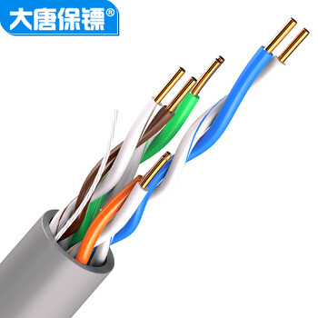 大唐保镖 超五类网线（工程级0.48±0.02）无氧铜线芯 非屏蔽CAt5家装工程布线双绞线305米 DT2905E