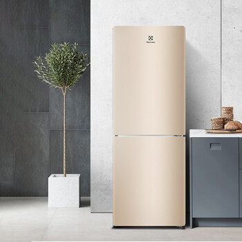 伊莱克斯(electrolux)176升风冷无霜 双门冰箱家用节能省电小型电冰箱