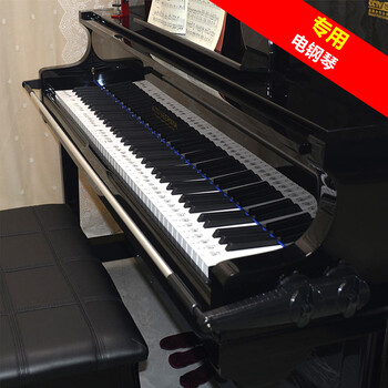 林中鸟钢琴手型器防折指手指练习器防塌手手腕训练纠正儿童练琴神器z