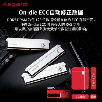 阿斯加特（Asgard）32GB(16Gx2)套 DDR5 6000频 台式机内存条 钛银甲--弗雷【C30】