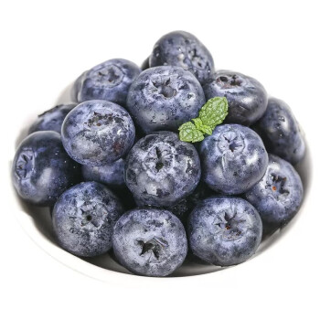 佳宝臣veybouson新鲜蓝莓大果当季露天蓝莓浆果水果净重2斤中果1215mm