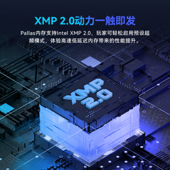 宏碁掠夺者（PREDATOR）32G(16G×2)套 DDR4 3600频率 台式机内存条 Pallas系列（C16）B-die颗粒