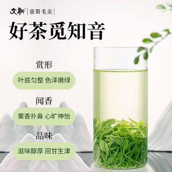 文新绿茶2025新茶高山信阳毛尖一级250g雨前礼盒茶