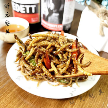 油炸食用昆虫酥脆面包虫即食黄粉虫美味下酒小吃美食麻辣金粉虫蛹160