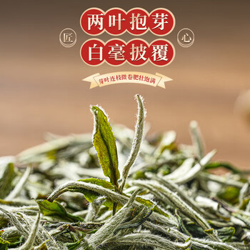 天洲溪福鼎白茶 特级白牡丹王 白茶特级250g 茶叶礼盒送人领导长辈礼品
