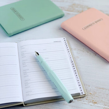 Filofax＆Letts联名款英国进口记事本PASTEL帕斯泰尔彩粉系列定页笔记本中号蜜桃粉色信息联络本090032