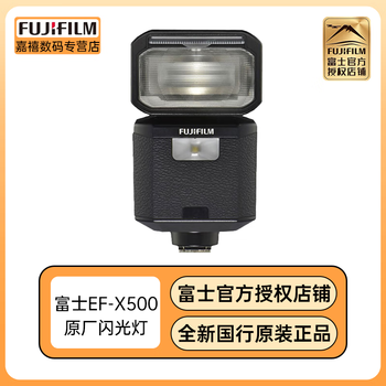 EF-X500 フラッシュ/EFーBP1未使用付き FUJIFILM ストロボ ケース付き  