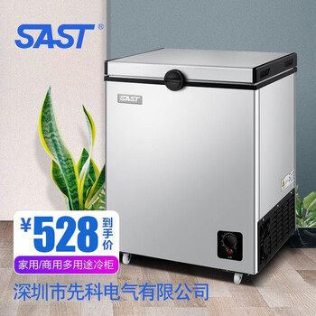 sast冷柜家用小型冷柜迷你冷柜冷藏冷冻卧式冷柜保鲜冷藏双门bcbd65s