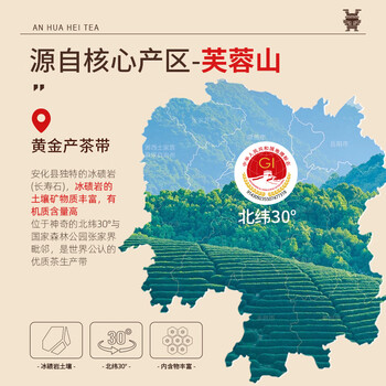 安化黑茶 茶协授权 正宗金花茯茶2015年湖南特产茶叶礼盒送人自己喝928g