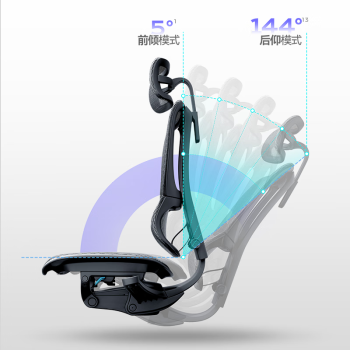 Ergonor保友优b雄鹰 人体工学椅电脑椅 久坐舒适办公椅电竞椅子 银白网