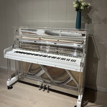 韦尔森德villsend 水晶透明钢琴 演奏级三角钢琴 成人家用自动演奏 vs