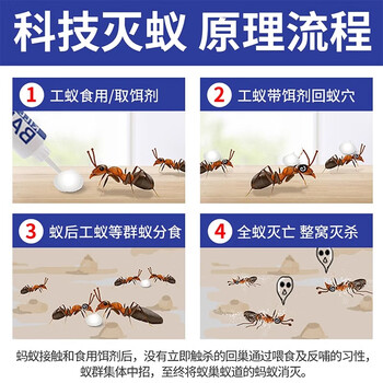 郁康蚂蚁药全窝一窝室内端杀虫剂非无毒家庭用杀蚁胶饵灭蚁饵剂10g 郁康蚂蚁药全窝一窝室内端杀虫剂非无毒家庭用杀蚁胶饵灭蚁饵剂10g