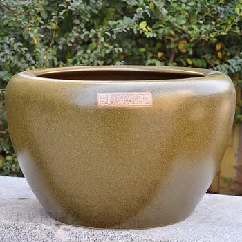 荷花缸中养鱼品牌及商品- 京东