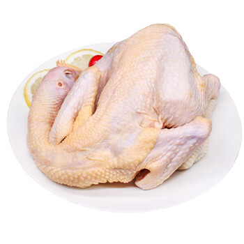 磐阙 农家散养三年正宗土鸡 鲜冻草鸡黄油老母鸡新鲜整鸡 孕妇炖汤