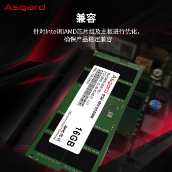 阿斯加特（Asgard）16GB DDR5 4800 笔记本内存条