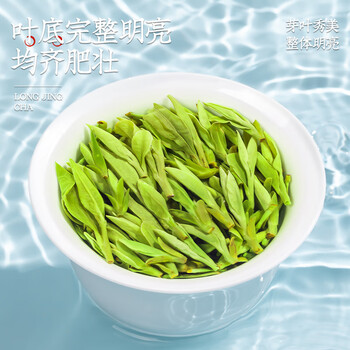 音朗茶叶绿茶 龙井茶明前特级2026新茶浓香嫩芽茶叶礼盒送长辈250g