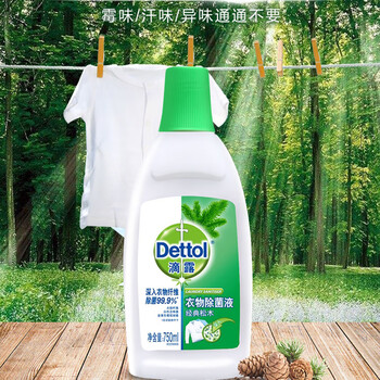 滴露消毒液衣物除菌液高效杀菌抑菌除螨配合洗衣液使用松木香 750毫升