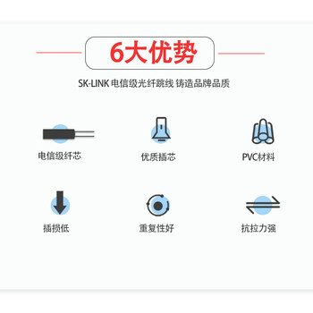 SK-LINK 单模双芯光纤皮线 室外2芯3钢丝成品光纤线尾纤免熔接户外低烟无卤 300米SC接头SWGL2SM-300M(SC)