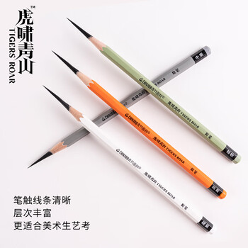 空色炭笔素描铅笔软炭美术生专用笔黑硬炭笔速写绘画工具初学者学生套装碳素画笔10支/盒美术写生