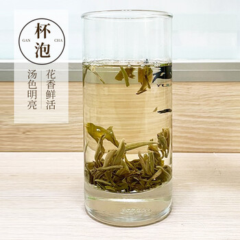 越乡茶叶茉莉花茶茉莉花浓香型春茶250g散装袋装口味超清爽