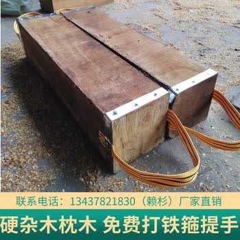 艾丽森 汉妮根